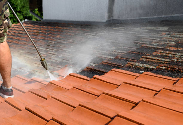 Best Best Pressure Washing Companies  in Farley, IA